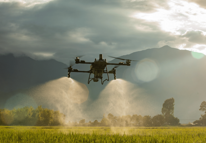 Downwash do drone DJI Agras penetrando o dossel foliar da cultura